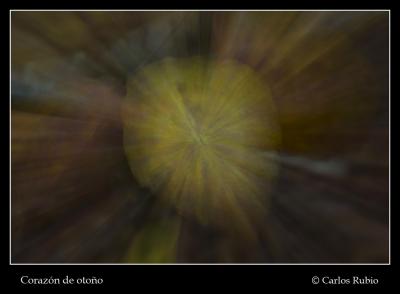 20071021194909-corazon-de-otono.jpg