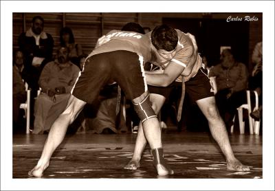 20081112005828-luchaleonesa.jpg