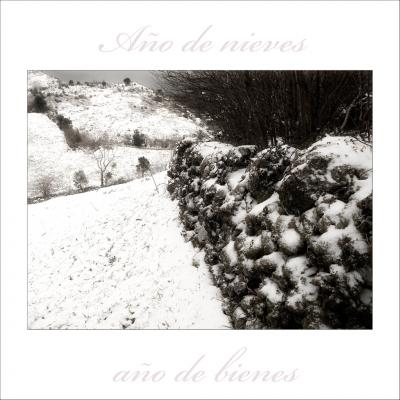 20090113223456-ano-de-bienes-ano-de-nieves.jpg