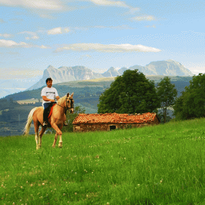 20090719005508-caballo.gif