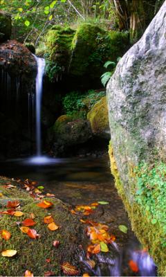 20091103230315-blog.jpg